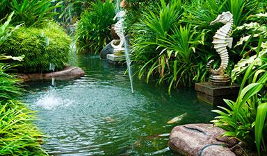 Landscaping Design in Miami, FL